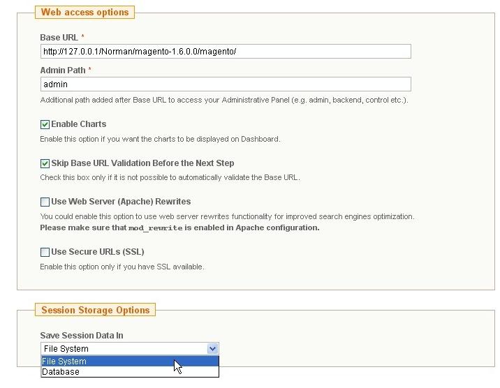 Magento Web access Options