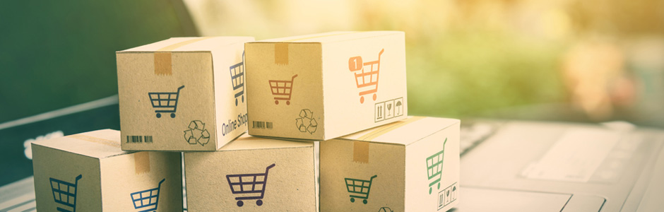 eCommerce web developers in India