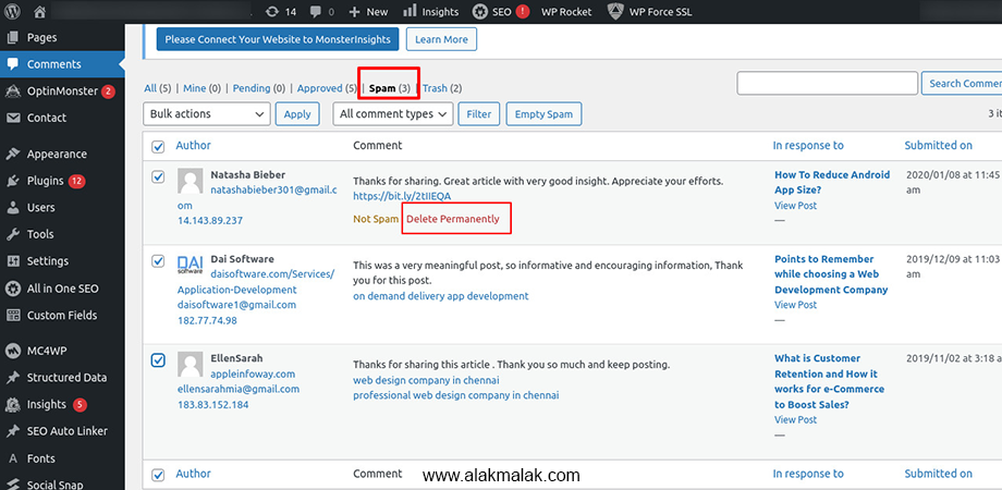 Comment section in WordPress Dashboard showing spam comments and how to delete them.