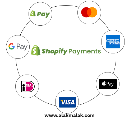 Shopify Payments Options