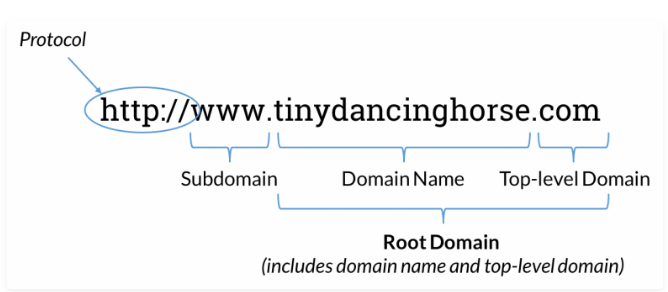 What is Domain Name, Subdomain, protocol and top level domain?