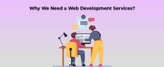 Why We Need a Web Development Services?