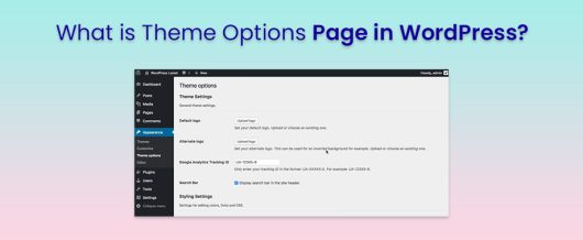 What is Theme Options Page in WordPress?
