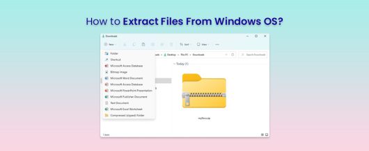 How to Extract Files From Windows OS?