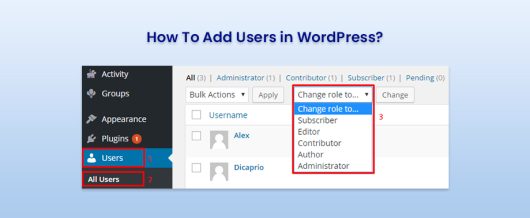 How To Add Users in WordPress?