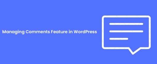 Managing comments feature in WordPress