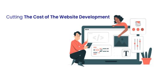 Cutting the cost of the website development