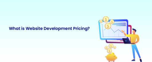 What is website development pricing?