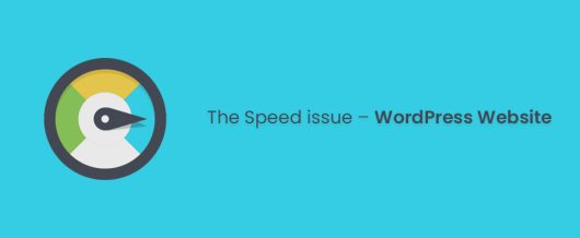 The Speed issue – WordPress Website