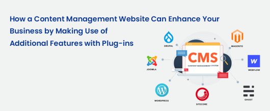 How a Content Management Website can enhance your business by making use of additional features with plug-ins