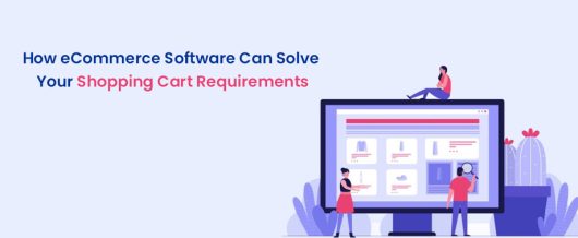 How eCommerce software can solve your shopping cart requirements