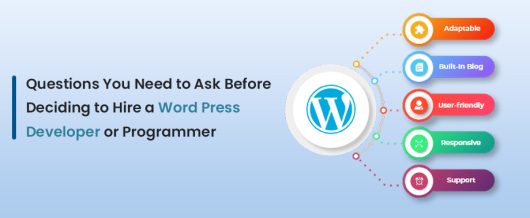 Questions You Need to Ask Before Deciding to Hire a Word Press Developer or Programmer