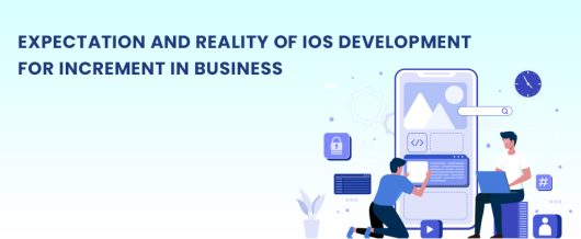 Expectation and Reality of iOS Development for Business Growth