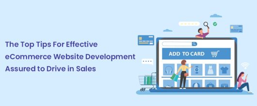 The Top Tips For Effective eCommerce Website Development Assured to Drive in Sales