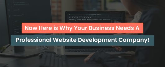 Now Here is Why Your Business Needs a Professional Website Development Company!