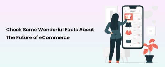 Check some wonderful facts about the future of eCommerce