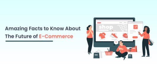 Amazing Facts to Know About the Future of E-Commerce