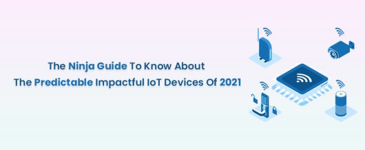 The Ninja Guide To Know About The Predictable Impactful IoT Devices Of 2021