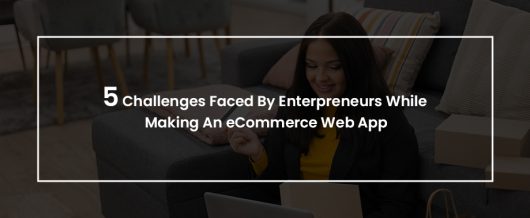 5 Challenges Faced by Enterpreneurs while making an eCommerce Web App