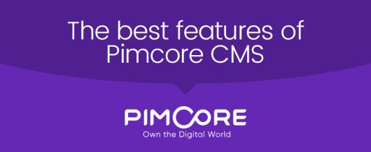 The best features of Pimcore CMS