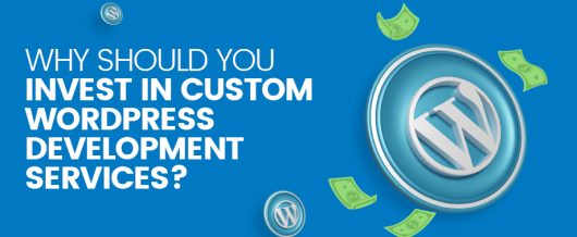 Why Should You Invest In Custom WordPress Development Services?