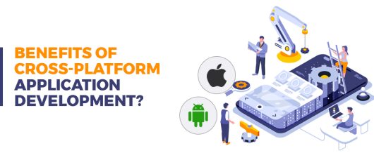 Benefits of Cross-Platform Application Development?