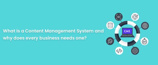 What is a Content Management System and why does every business needs one?