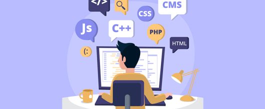 Quick Tips for Finding the Right Web Development Company for Your Business