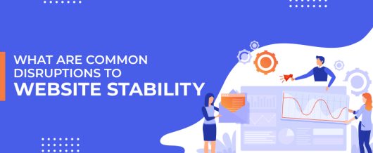 What are Common Disruptions to Website Stability
