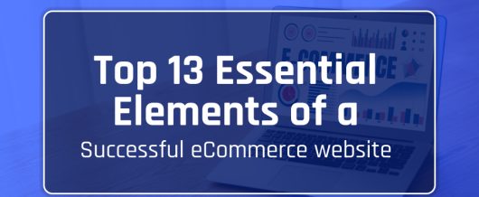 Top 13 Essential Elements of a Successful eCommerce website