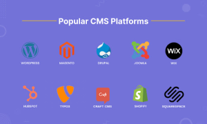 Top popular CMS platforms like wordpress, drupal, shopify, wix etc.
