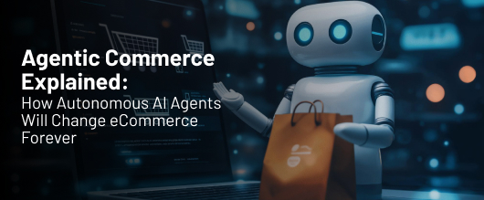 Agentic Commerce Explained: How Autonomous AI Agents Will Transform Online Shopping Forever